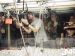 20140523-electronic-beats-08
