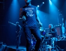 141213_krokodil_winkel_13