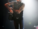 141213_krokodil_winkel_38