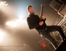 141213_krokodil_winkel_39