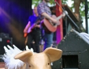 20150523_OBS_RockyVotolato_Juli Leykauf_04