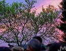 20150522_OBS_Juli Leykauf_04